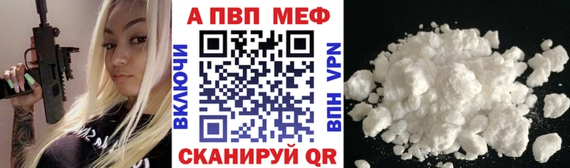 A PVP СК  Сольвычегодск 
