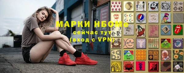 стафф Арсеньев
