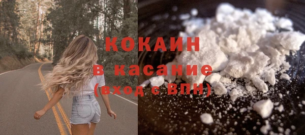 стафф Арсеньев