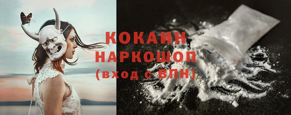 стафф Арсеньев